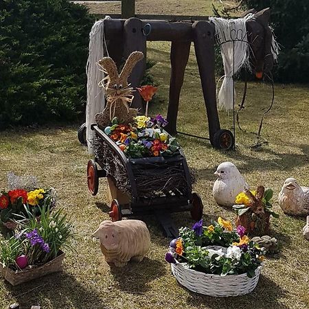 Urlaubsscheune Niedergorsdorf Exteriör bild